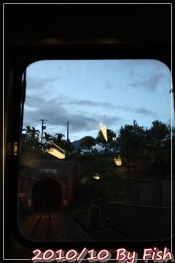 IMG_6397.jpg
