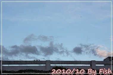IMG_6345.jpg