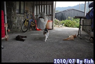 IMG_4382.jpg