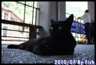 IMG_4192.jpg