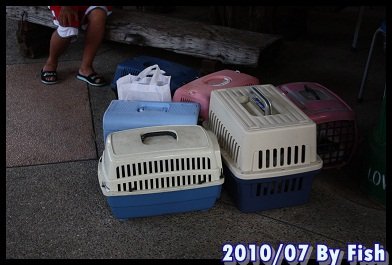 IMG_4331.jpg
