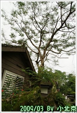 2009_03_28~29_花蓮【住海邊】民宿_096.jpg