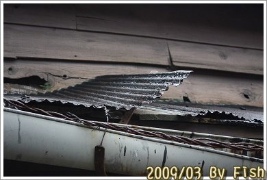 IMG_2178.jpg