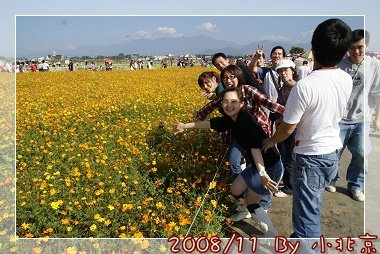 2008_11_22~23_研究所班遊(新社花海˙溪頭)_056.jpg
