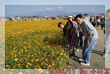 2008_11_22~23_研究所班遊(新社花海˙溪頭)_057.jpg