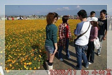 2008_11_22~23_研究所班遊(新社花海˙溪頭)_058.jpg