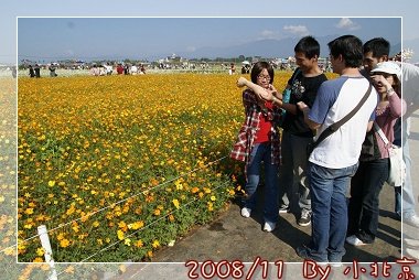2008_11_22~23_研究所班遊(新社花海˙溪頭)_060.jpg