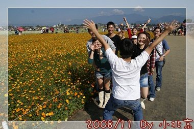 2008_11_22~23_研究所班遊(新社花海˙溪頭)_067.jpg