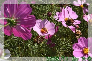 IMG_1126.jpg