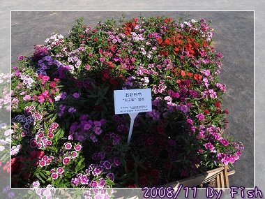 R0014731.jpg