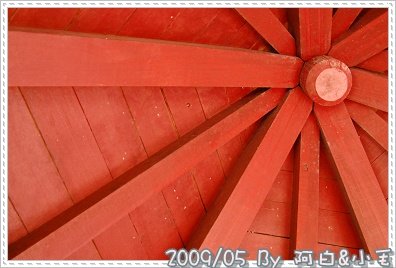 DSC_1363.jpg