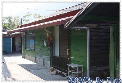 IMG_4855.jpg