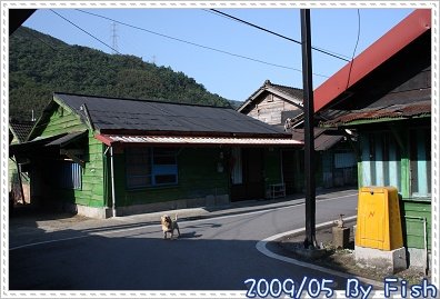 IMG_4856.jpg