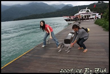 IMG_7366.jpg