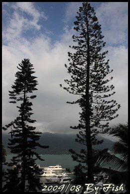 IMG_7433.jpg