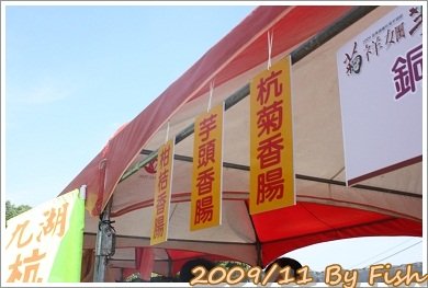IMG_1533.jpg