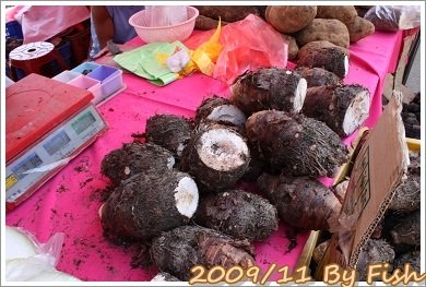 IMG_1535.jpg