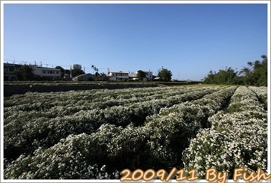IMG_1669.jpg