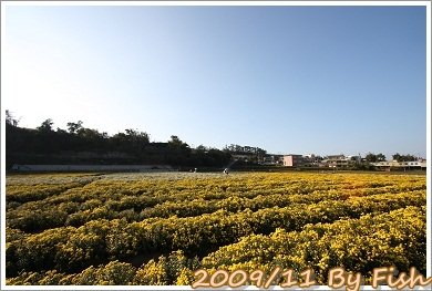IMG_1707.jpg