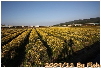 IMG_1715.jpg
