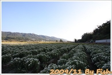 IMG_1724.jpg