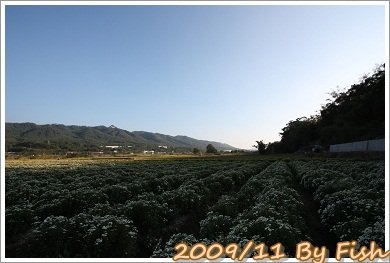 IMG_1725.jpg