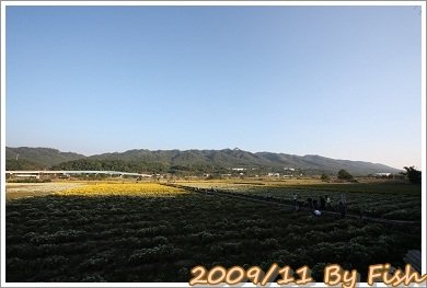 IMG_1730.jpg