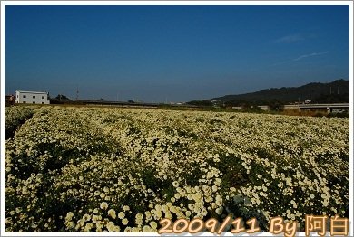 DSC_3253.jpg