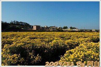 DSC_3271.jpg