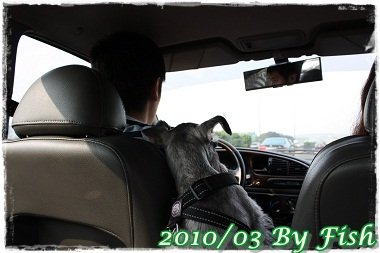 IMG_9979.jpg