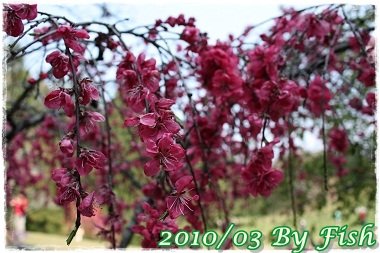 IMG_0024.jpg