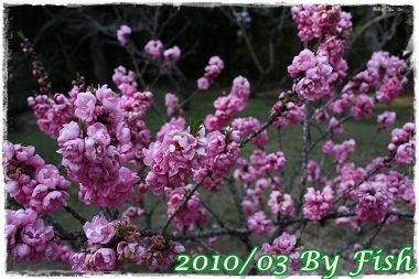 IMG_0029.jpg