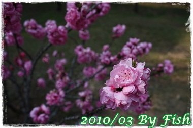 IMG_0031.jpg