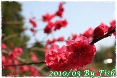 IMG_0042.jpg