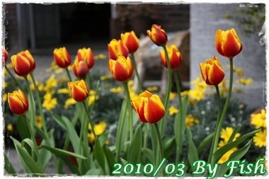 IMG_0060.jpg