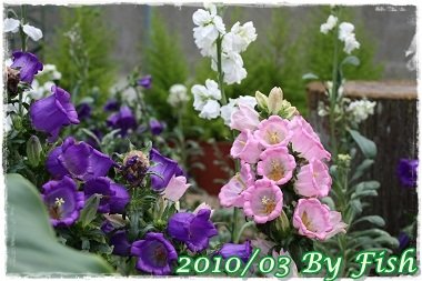 IMG_0085.jpg
