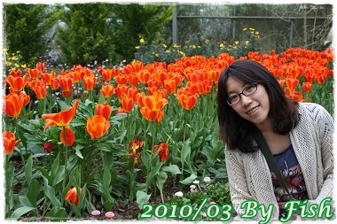 IMG_0096.jpg