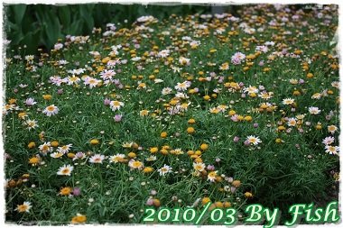 IMG_0098.jpg