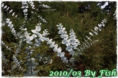 IMG_0107.jpg