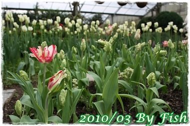 IMG_0120.jpg