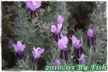 IMG_0141.jpg