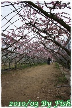 IMG_0164.jpg