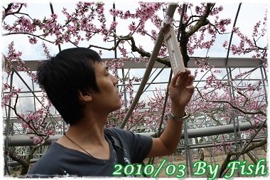 IMG_0188.jpg