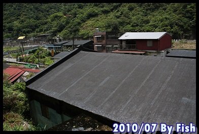 IMG_4290.jpg