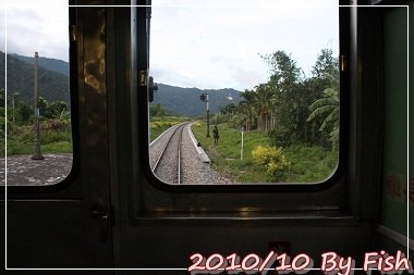 IMG_6377.jpg