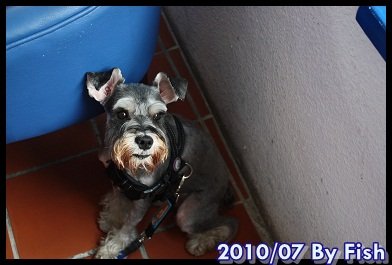 IMG_4943.jpg