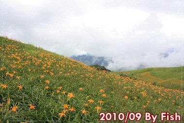 IMG_6082.jpg
