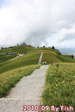 IMG_5948.jpg
