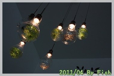 IMG_9679.jpg