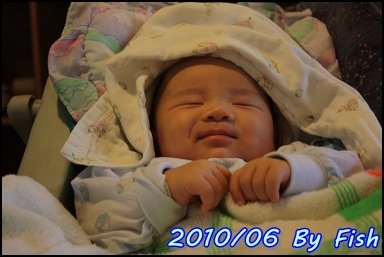 IMG_3998.jpg